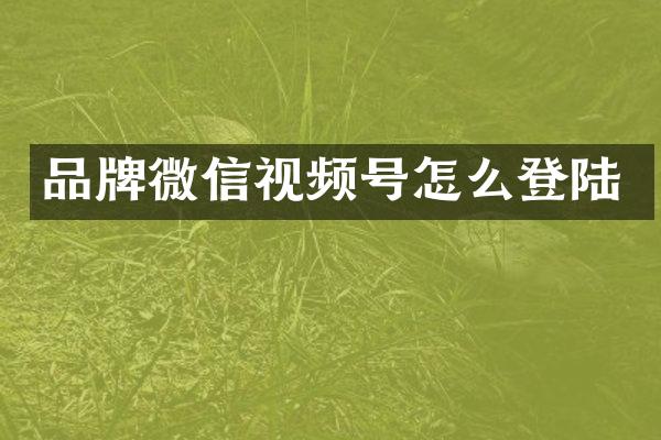 品牌微信视频号怎么登陆