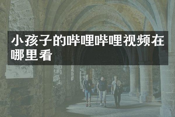小孩子的哔哩哔哩视频在哪里看