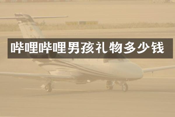 哔哩哔哩男孩礼物多少钱