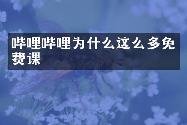 哔哩哔哩为什么这么多免费课