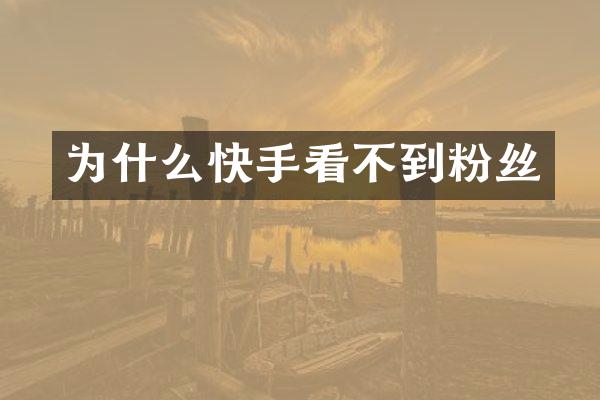 为什么快手看不到粉丝