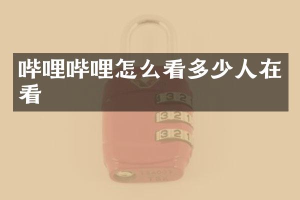 哔哩哔哩怎么看多少人在看