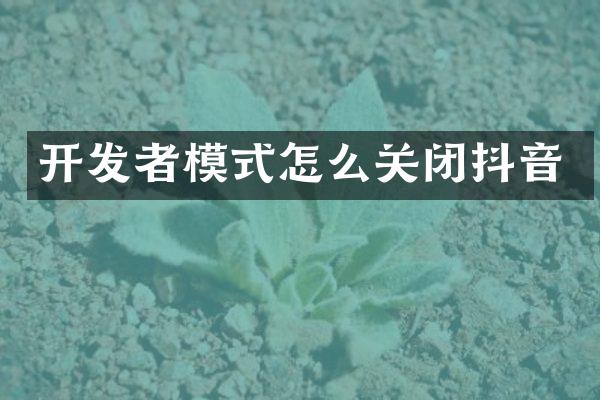 开发者模式怎么关闭抖音