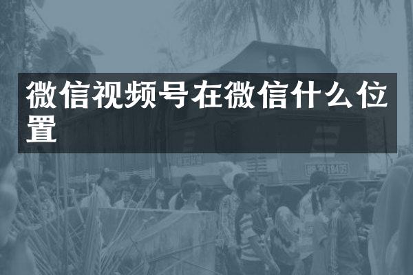 微信视频号在微信什么位置