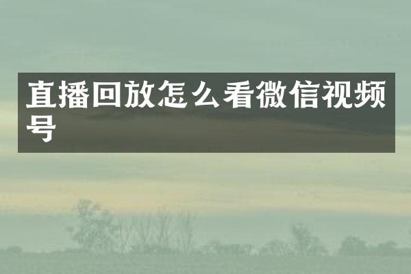 直播回放怎么看微信视频号