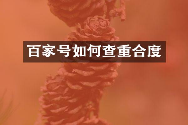 百家号如何查重合度