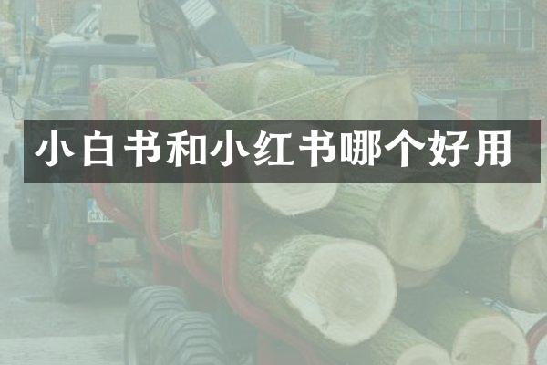 小白书和小红书哪个好用