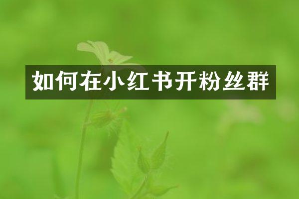 如何在小红书开粉丝群