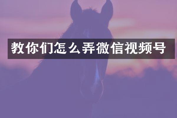教你们怎么弄微信视频号