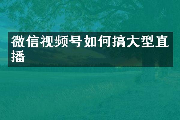 微信视频号如何搞大型直播