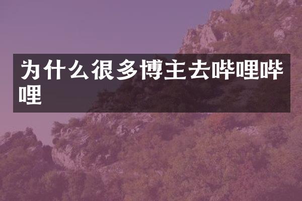 为什么很多博主去哔哩哔哩