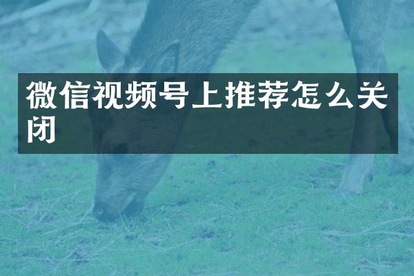 微信视频号上推荐怎么关闭