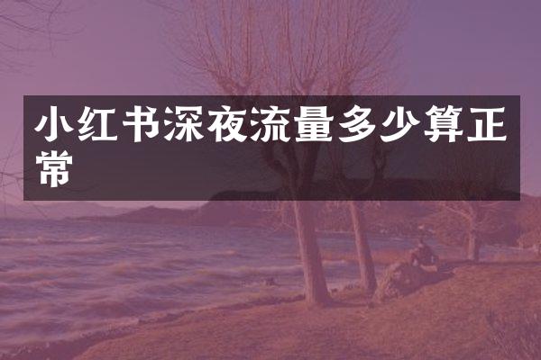 小红书深夜流量多少算正常
