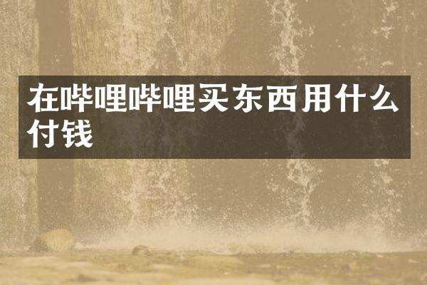 在哔哩哔哩买东西用什么付钱