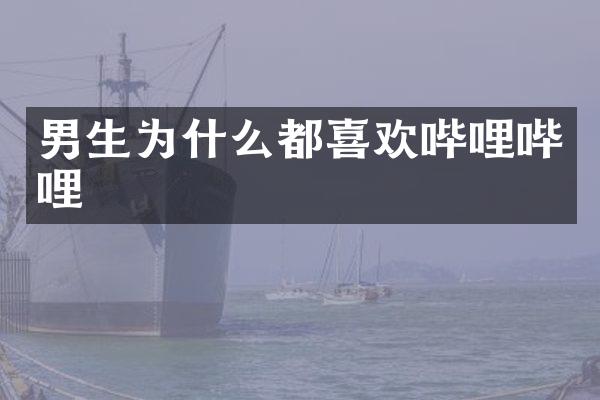 男生为什么都喜欢哔哩哔哩