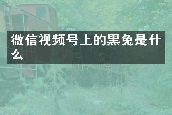 微信视频号上的黑兔是什么