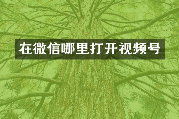 在微信哪里打开视频号