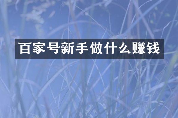 百家号新手做什么赚钱