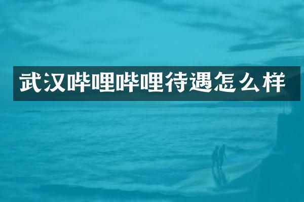 武汉哔哩哔哩待遇怎么样