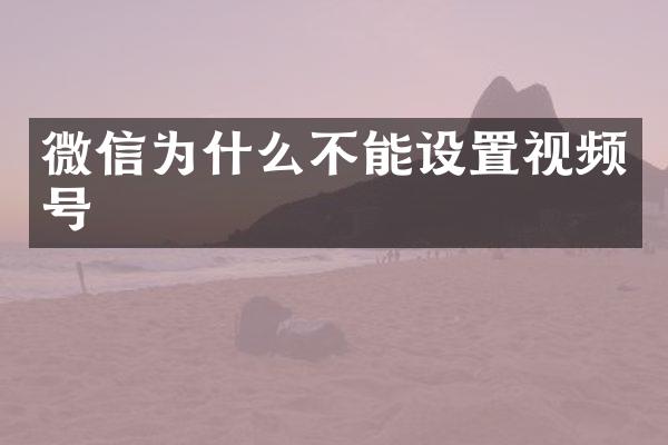 微信为什么不能设置视频号
