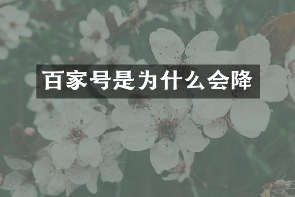 百家号是为什么会降