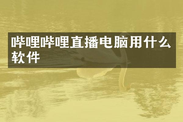 哔哩哔哩直播电脑用什么软件