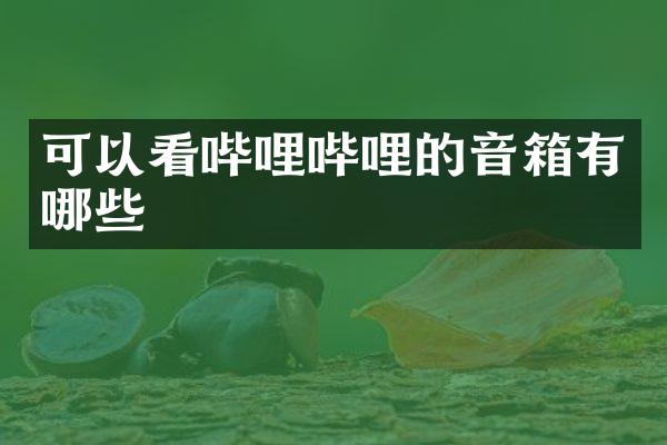 可以看哔哩哔哩的音箱有哪些