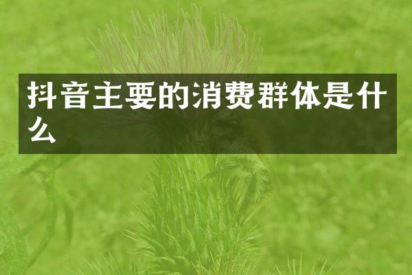 抖音主要的消费群体是什么
