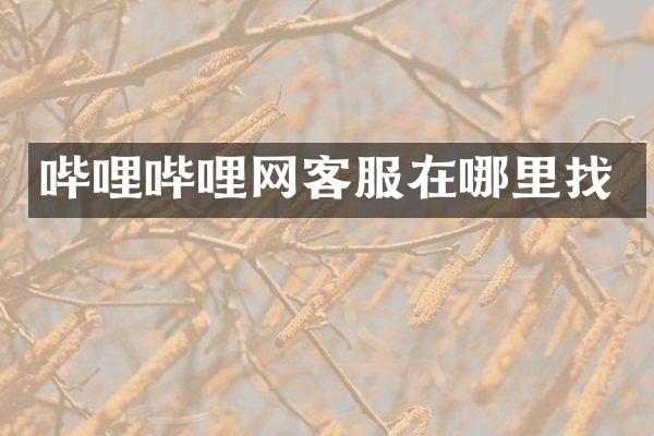 哔哩哔哩网客服在哪里找
