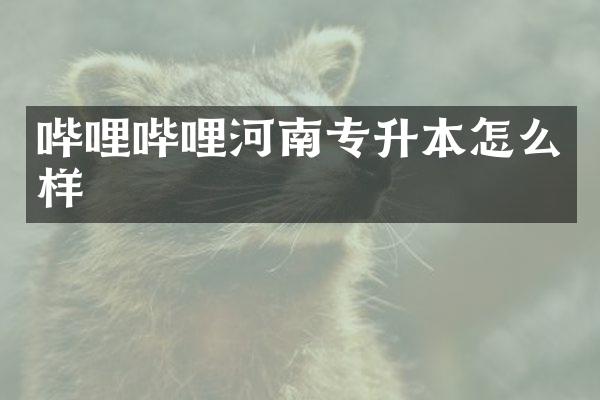 哔哩哔哩河南专升本怎么样