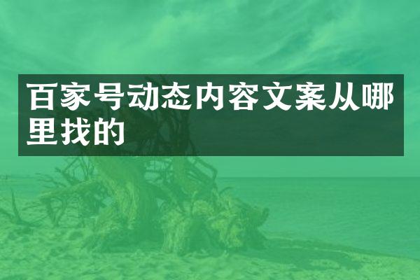 百家号动态内容文案从哪里找的