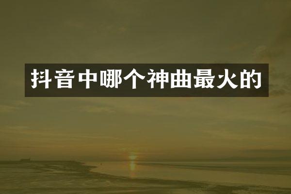 抖音中哪个神曲最火的