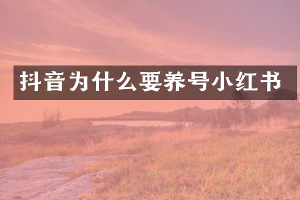 抖音为什么要养号小红书