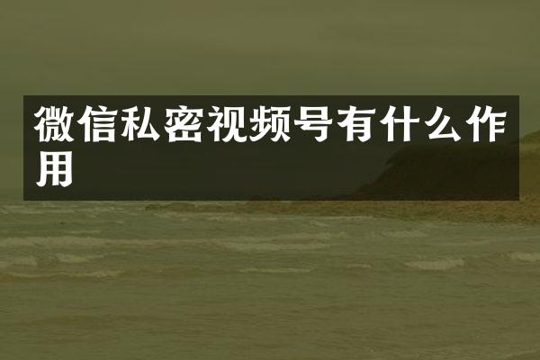 微信私密视频号有什么作用