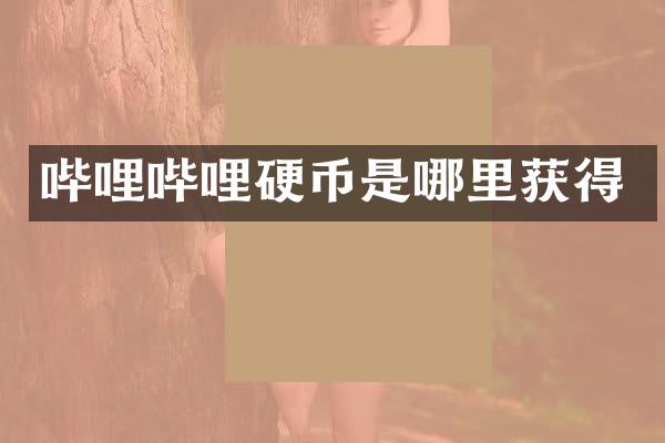 哔哩哔哩硬币是哪里获得
