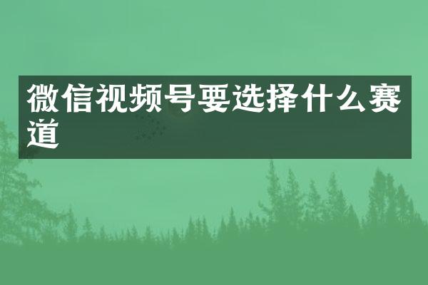 微信视频号要选择什么赛道