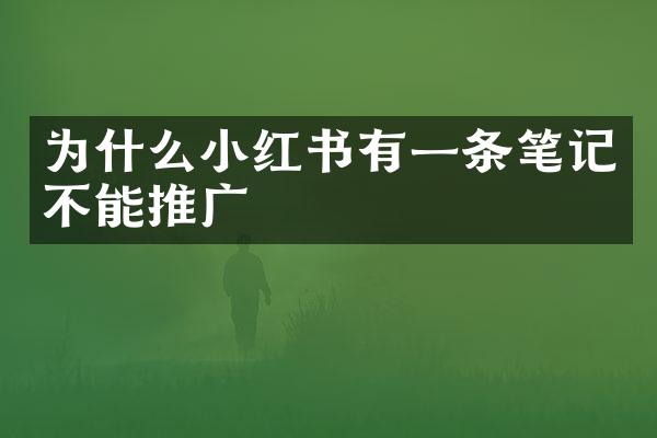 为什么小红书有一条笔记不能推广