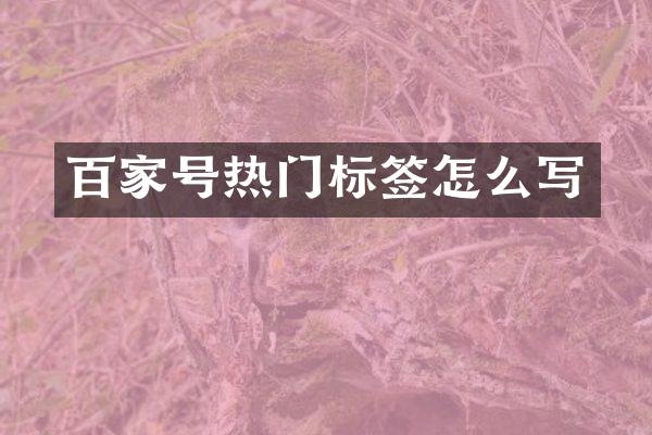 百家号热门标签怎么写