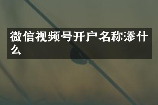 微信视频号开户名称添什么