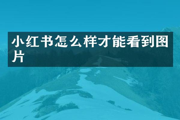 小红书怎么样才能看到图片