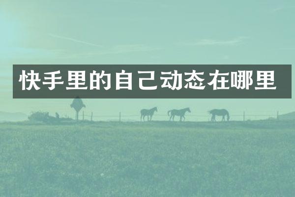 快手里的自己动态在哪里