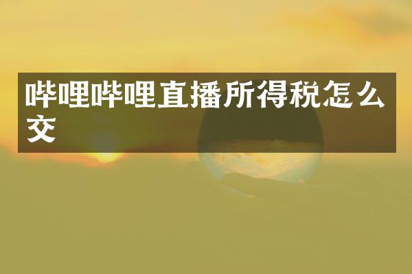 哔哩哔哩直播所得税怎么交