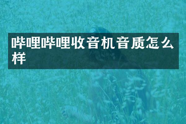 哔哩哔哩收音机音质怎么样