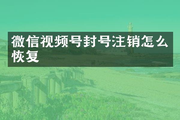 微信视频号封号注销怎么恢复