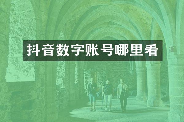 抖音数字账号哪里看