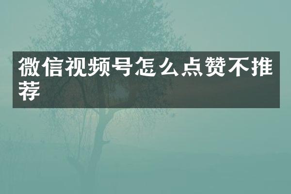 微信视频号怎么点赞不推荐