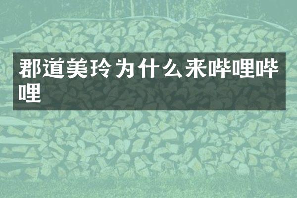 郡道美玲为什么来哔哩哔哩