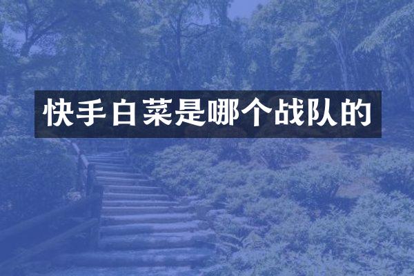 快手白菜是哪个战队的