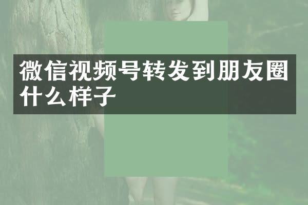 微信视频号转发到朋友圈什么样子