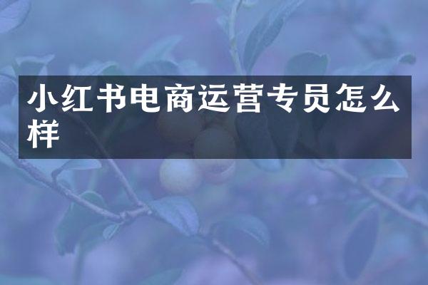 小红书电商运营专员怎么样